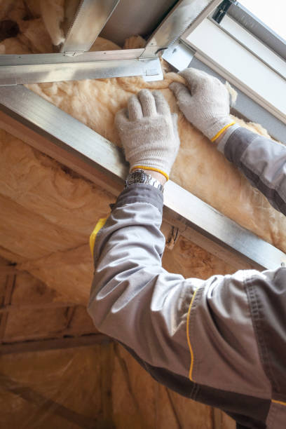 Best Wall Insulation Contractor  in Ellenton, FL